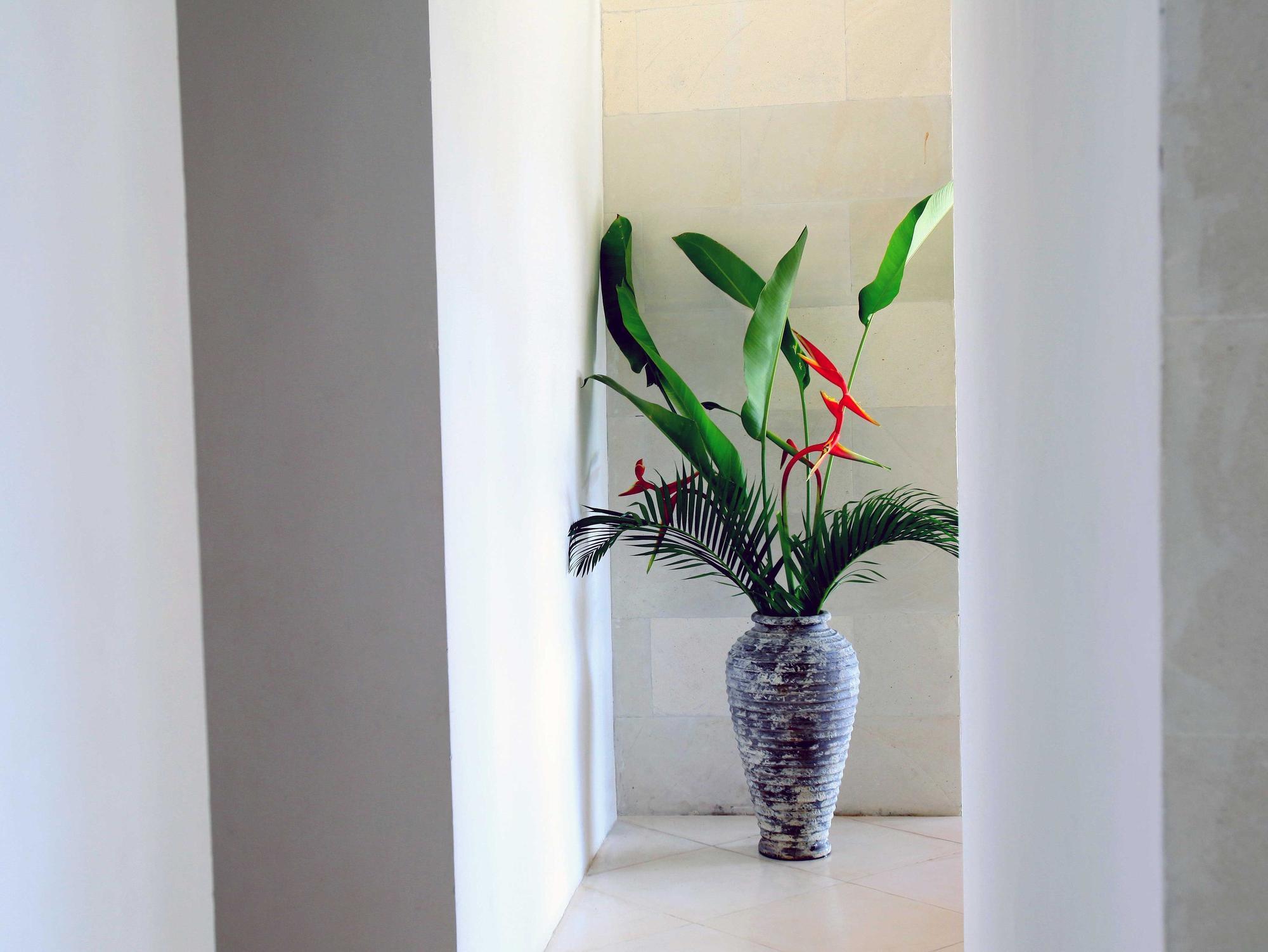 Jeda Villa Modern Stylish Luxury Villa Pemuteran Eksteriør bilde