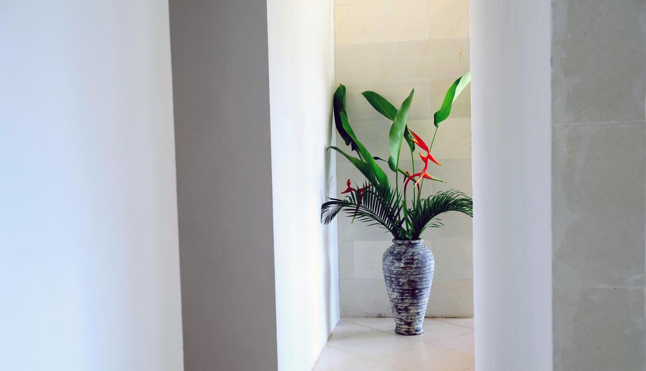 Jeda Villa Modern Stylish Luxury Villa Pemuteran Eksteriør bilde